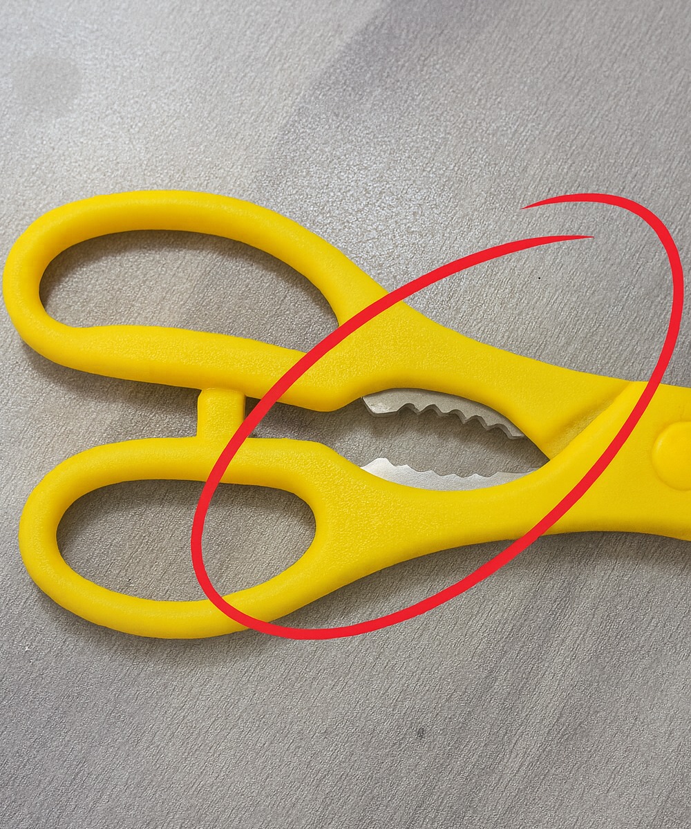 À quoi sert vraiment cette partie dentée sur vos ciseaux de cuisine ?