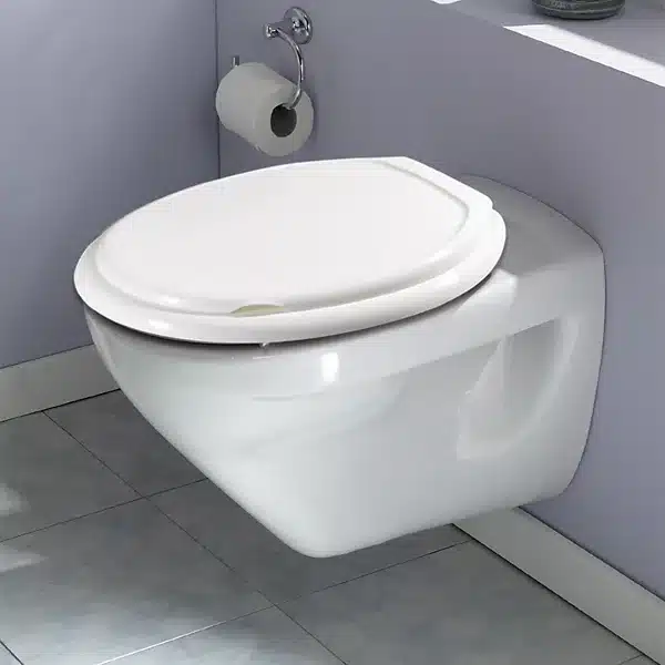 Abattant WC en plastique blanc bien entretenu