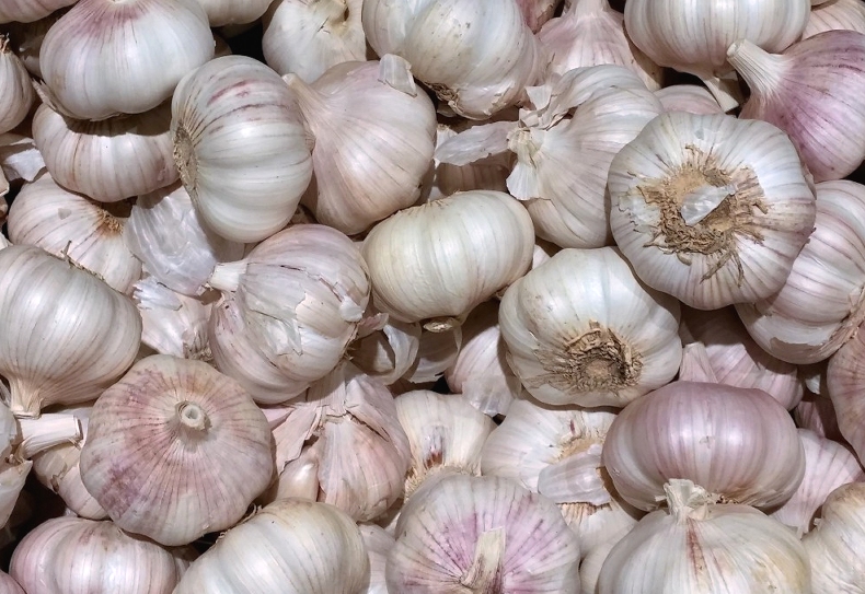 L’astuce méconnue pour sauver vos plantes : une décoction d’ail et de cannelle à faire chez vous
