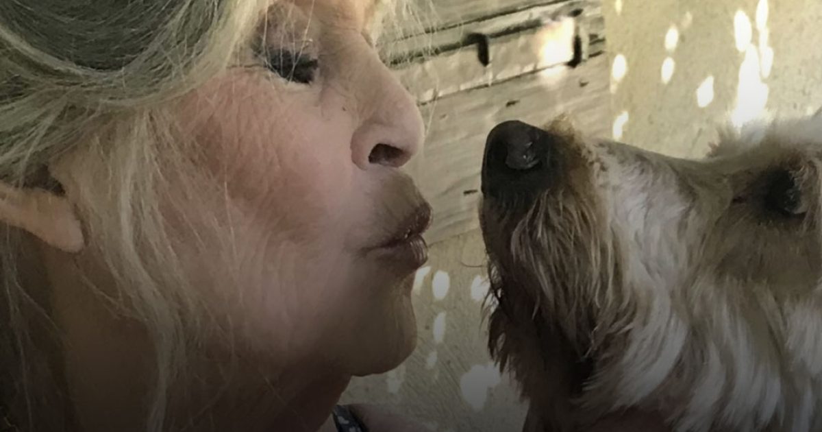 Après Brigitte Bardot : que sont devenus ses animaux ? La réponse émouvante de Bernard d’Ormale