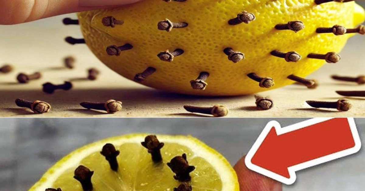 Associez des clous de girofle à un citron et sublimez votre intérieur : une astuce simple mais efficace