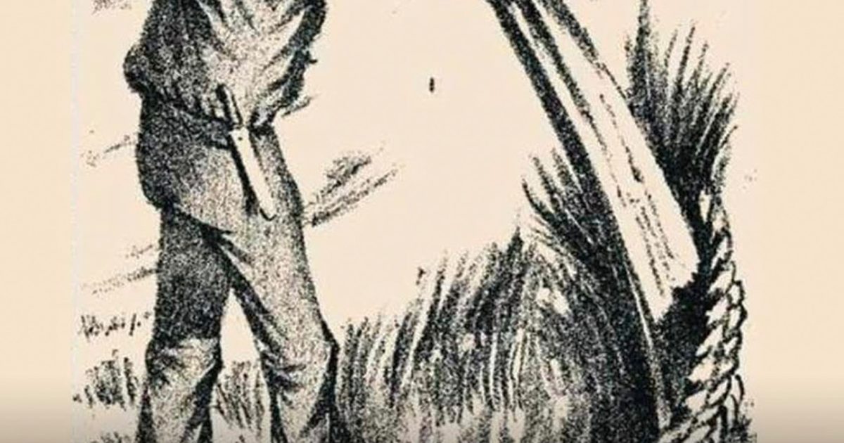 Avez-vous une vue d’aigle ? Seul 1 % des gens parvient à voir la femme cachée dans cette illusion d’optique