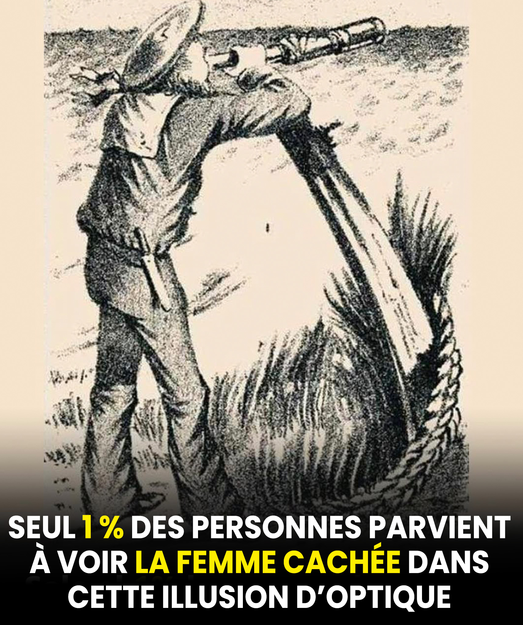 Avez-vous une vue d’aigle ? Seul 1 % des gens parvient à voir la femme cachée dans cette illusion d’optique