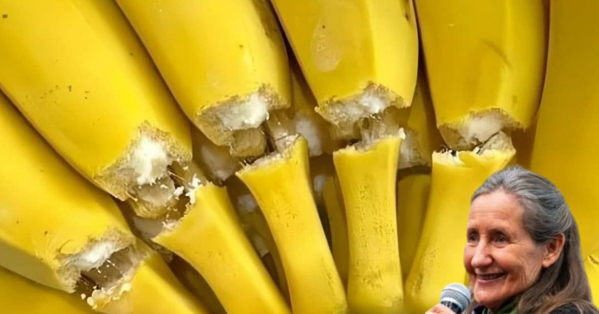 Bananes & santé : 14 choses que vous devez absolument savoir