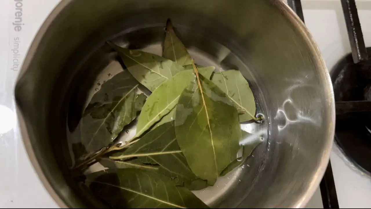 Cette astuce maison chasse mouches, moustiques et cafards pour toujours – testez-la pendant une heure