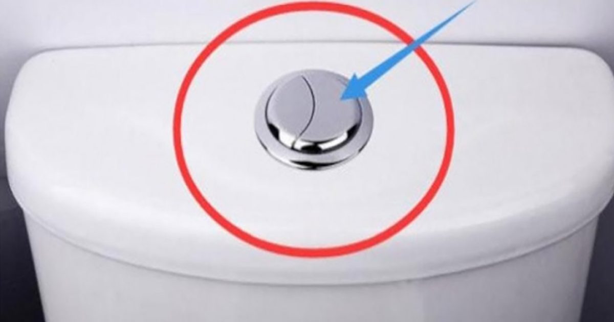 Beaucoup de gens pensent encore que ces 2 boutons servent uniquement à tirer la chasse des WC