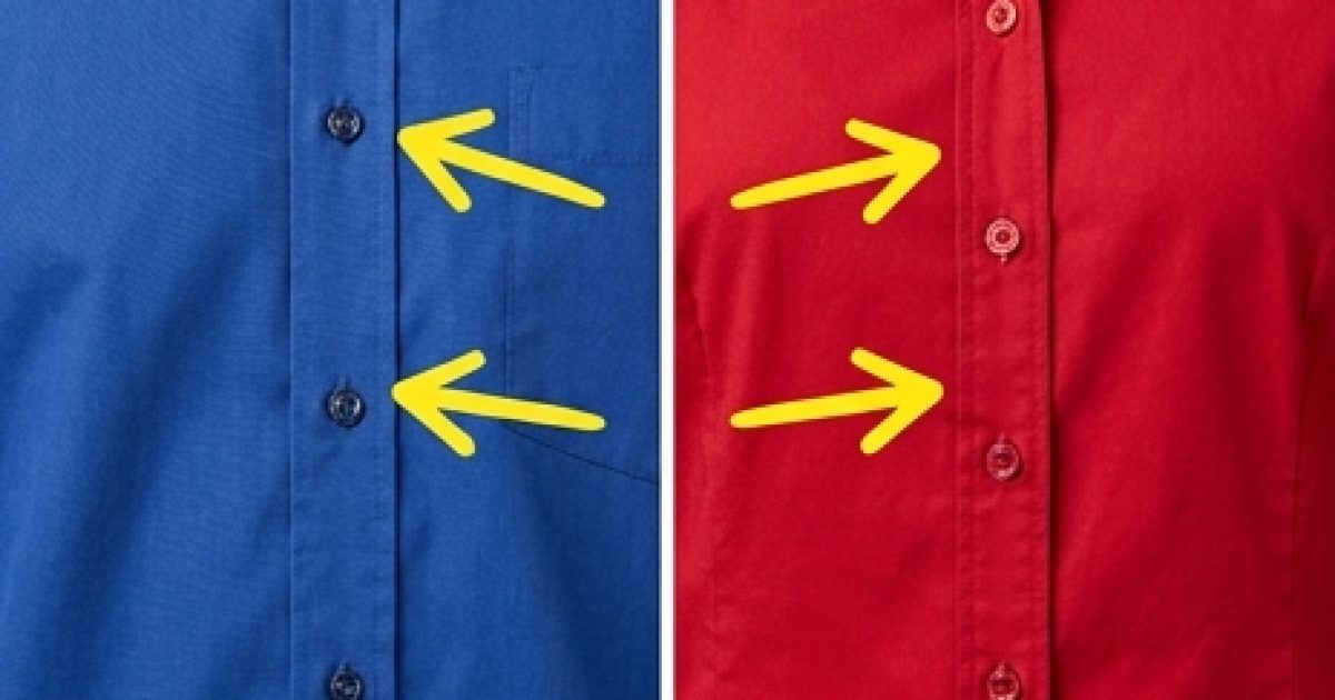 Beaucoup de gens portent des chemises tous les jours, mais tout le monde ne sait pas pourquoi les boutons des chemises pour femmes sont à gauche et ceux des chemises pour hommes à droite