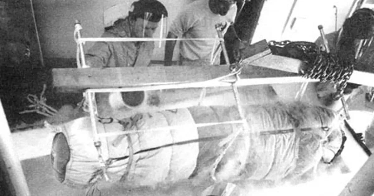 James Bedford en cryoconservation