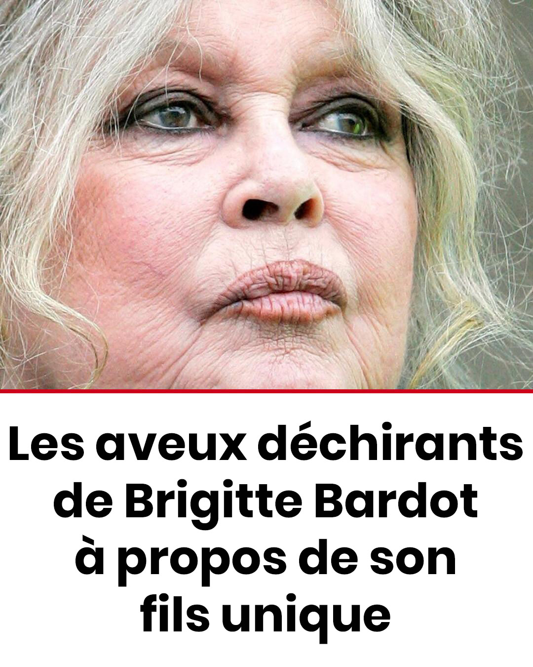 Brigitte Bardot et sa confession à propos de son enfant unique