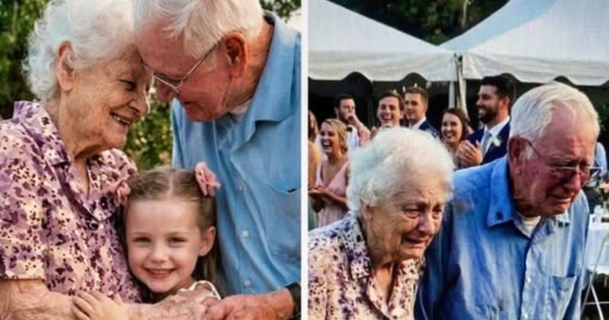 J’ai renié mes grands-parents le jour de mon mariage – mais leur ultime présent, reçu trop tard, a brisé le masque que je m’étais construit