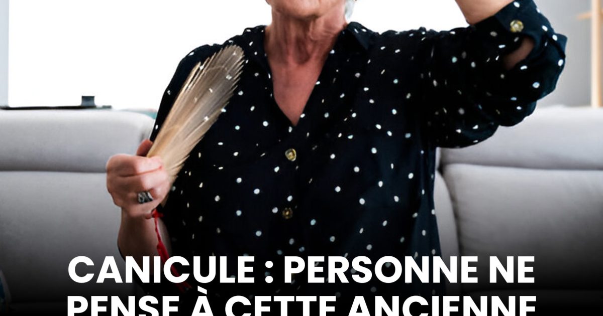 Canicule : cette astuce oubliée fait des merveilles, et elle coûte presque rien comparé à la clim