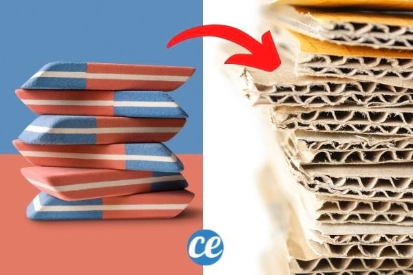 Gomme bleue sur carton