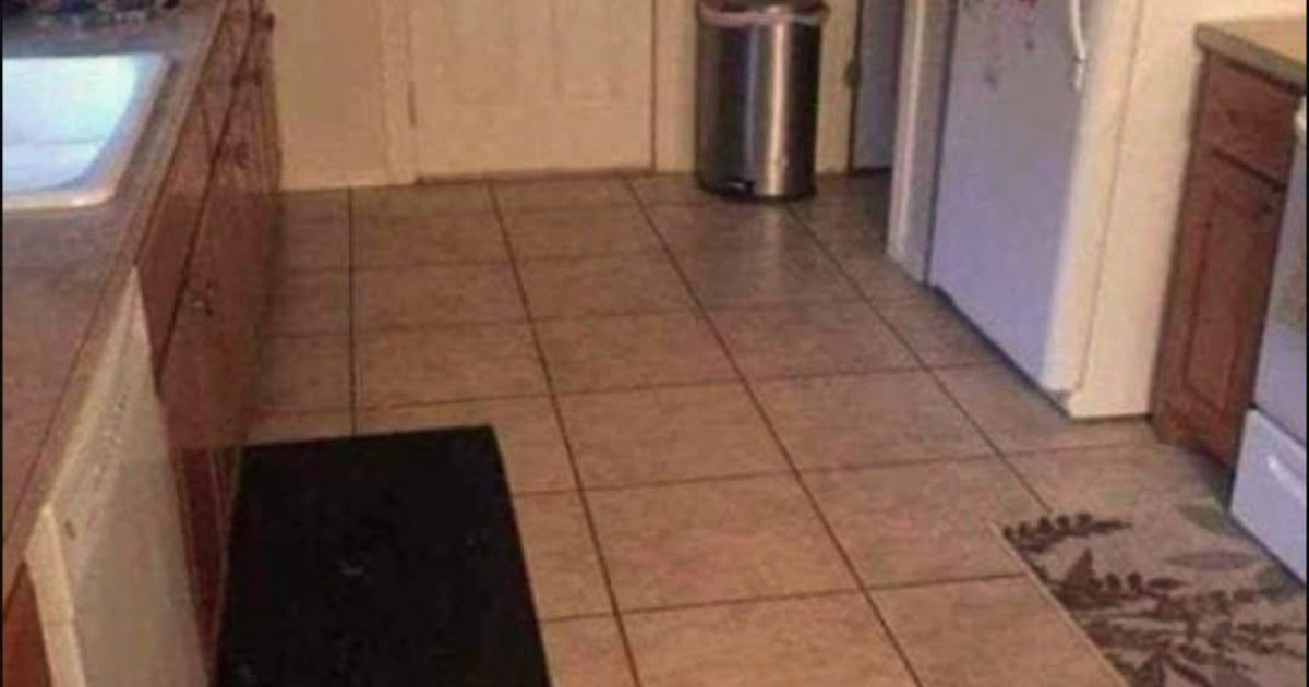 Ce chien est caché en plein milieu de la cuisine et presque personne ne peut le voir