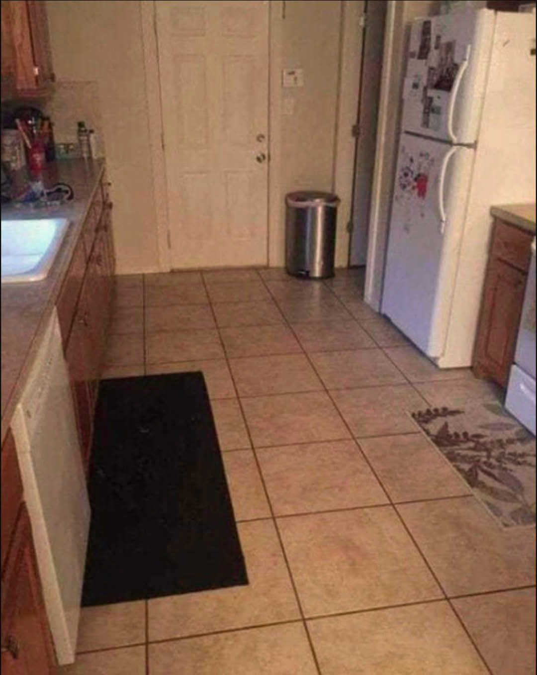 Ce chien est caché en plein milieu de la cuisine et presque personne ne peut le voir