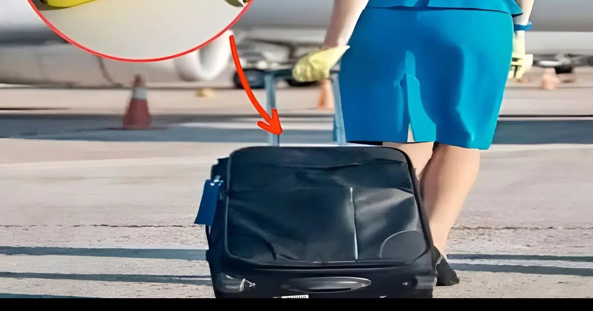 Ce fruit que les hôtesses de l’air emportent toujours avec elles en vol — la raison va vous étonner