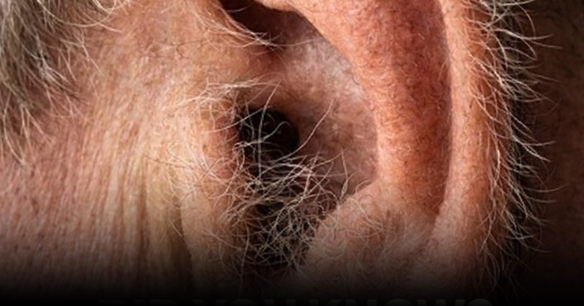 Ce que vos poils d’oreilles révèlent sur votre santé