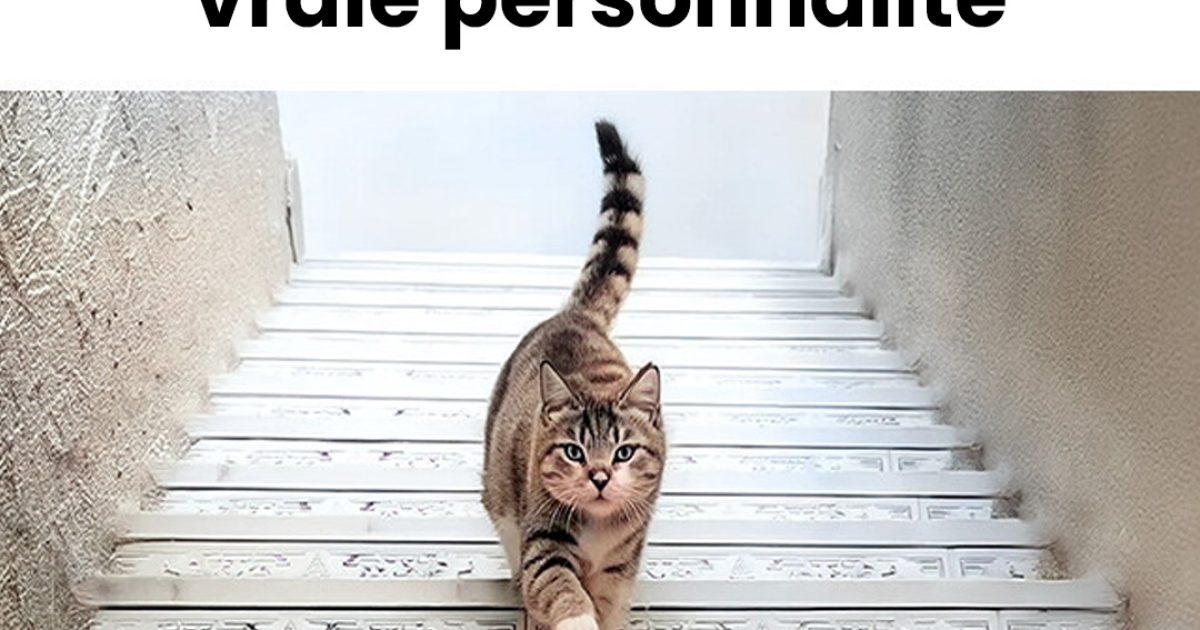 Ce que vous avez vu en premier révèle toute la vérité sur vous