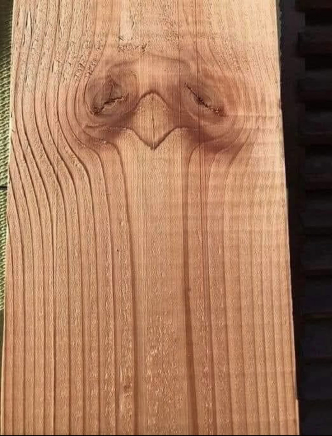 Ce que vous voyez en premier en dit long sur votre personnalité