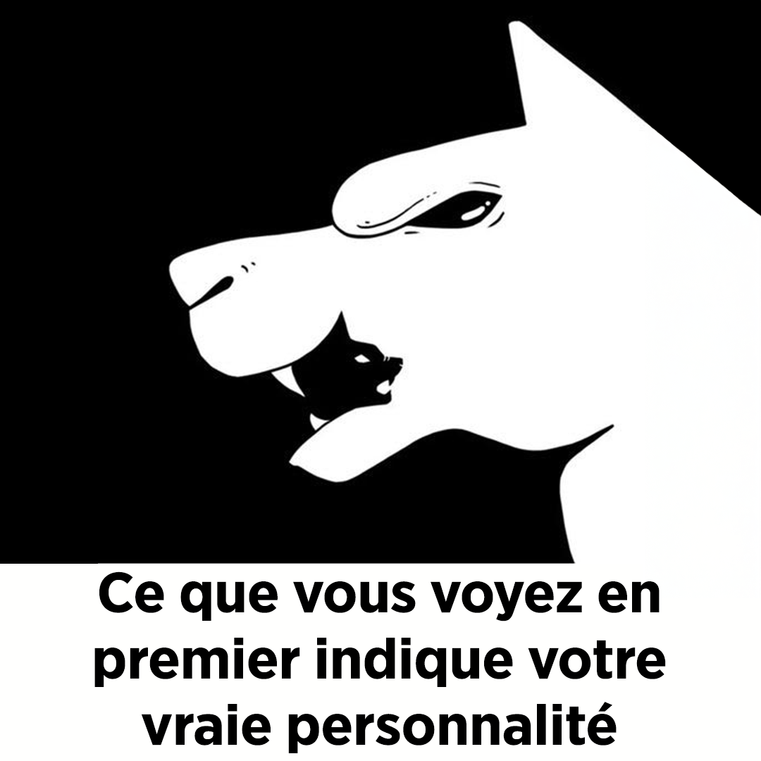 Ce que vous voyez en premier indique votre vraie personnalité
