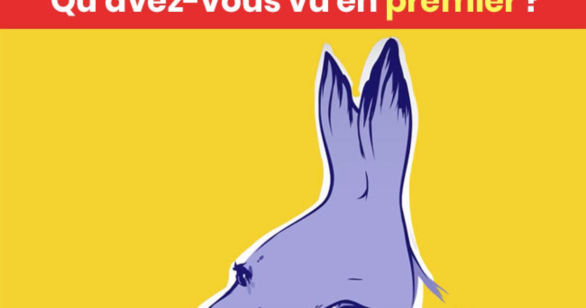 Ce que vous voyez en premier sur ces images révèle une vérité cachée sur votre personnalité