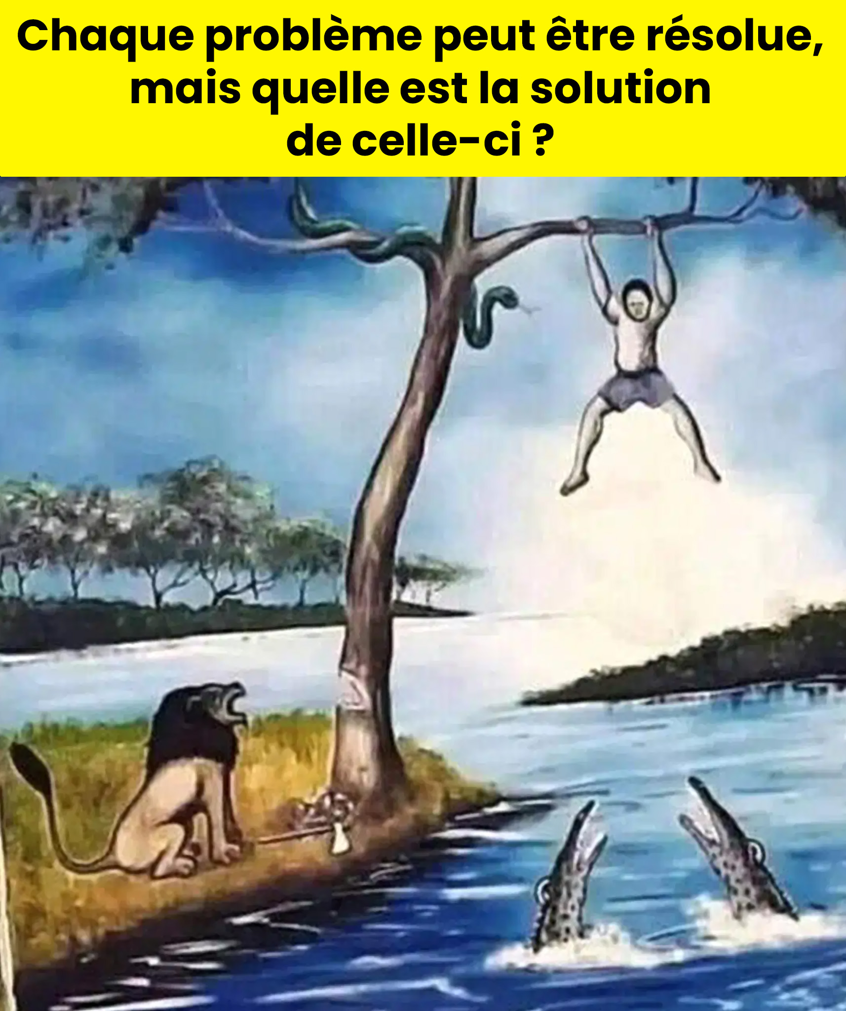 Ces casse-têtes ont mis Internet au défi