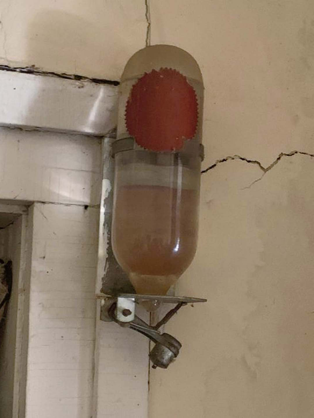 Cet objet ancien pourrait bien sauver des vies…