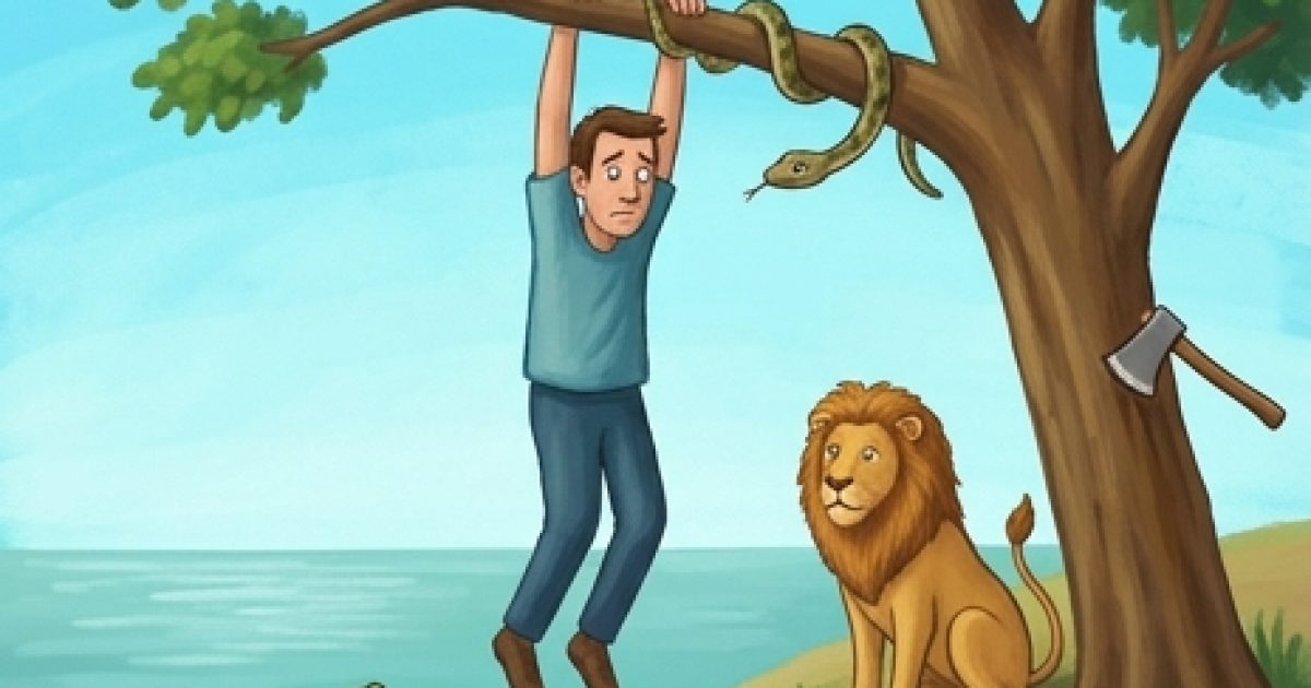 Cette image intrigue. Saurez-vous la résoudre ?