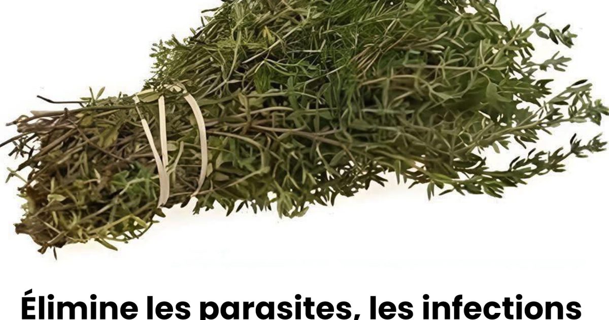 Cette plante ne se limite pas à la cuisine — elle compte parmi les plus puissantes au monde