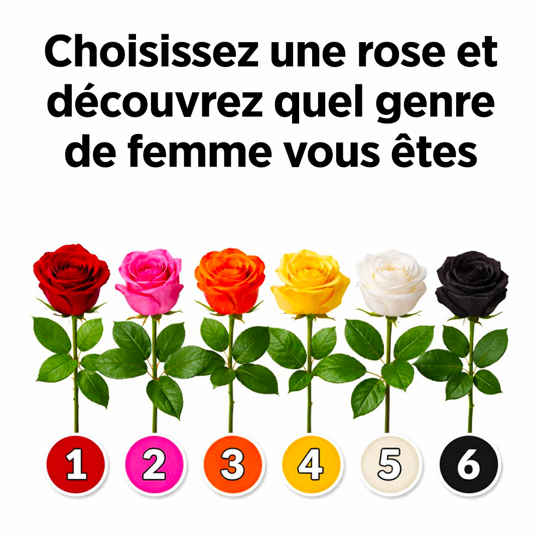 Choisissez une rose et découvrez ce qu'elle révèle de votre personnalité