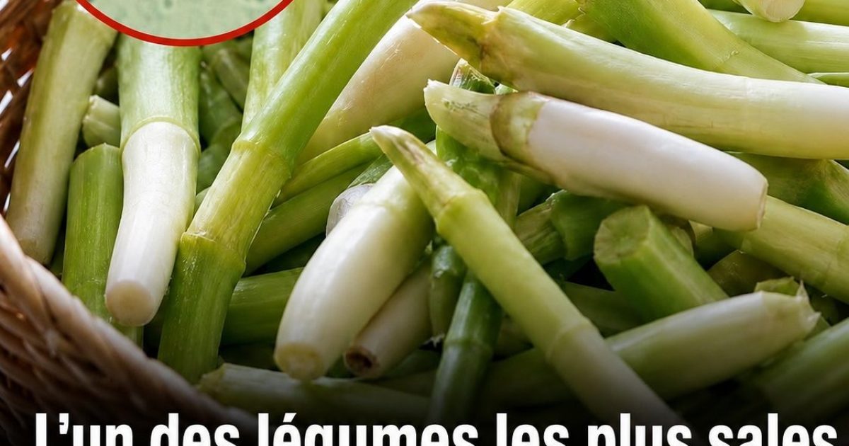 Ciboule et oignon nouveau : ce légume adoré que vous mangez peut-être sans le laver correctement