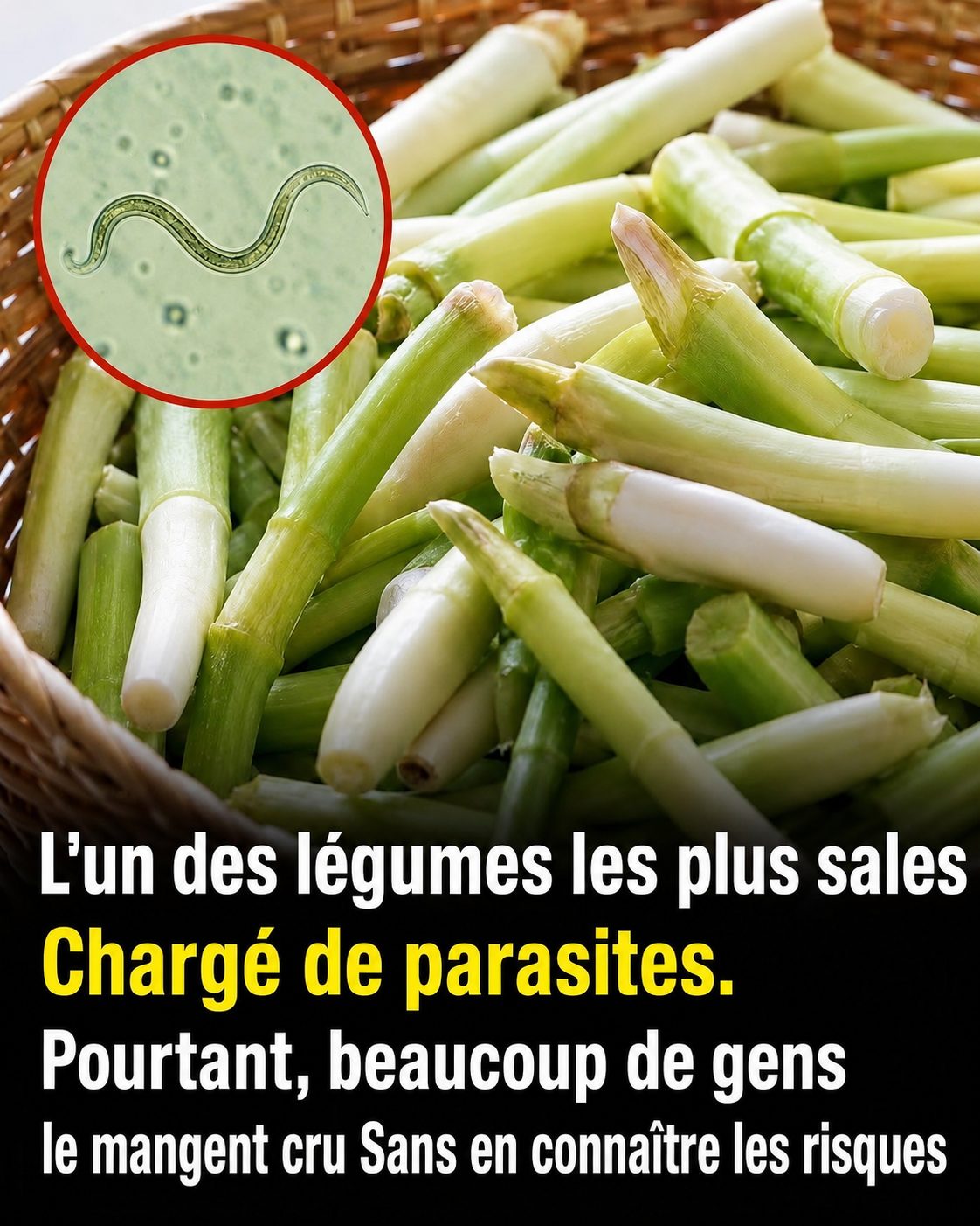 Ciboule et oignon nouveau : ce légume adoré que vous mangez peut-être sans le laver correctement