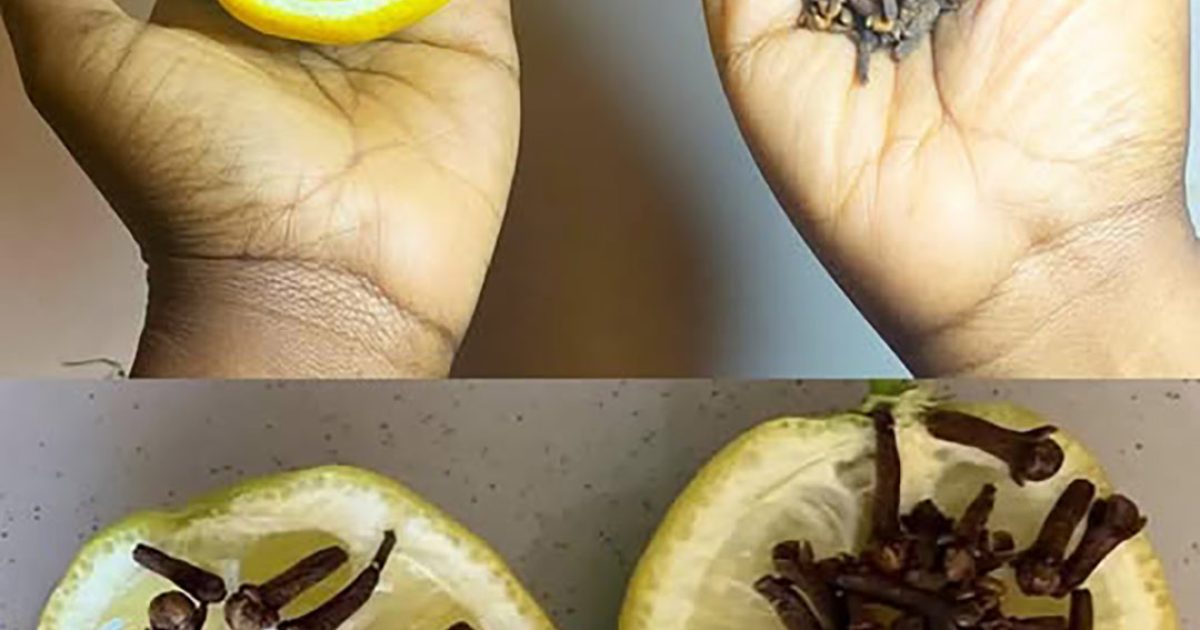 Clou de girofle, citron et oignon : un trio naturel aux vertus étonnantes pour votre santé et votre foyer