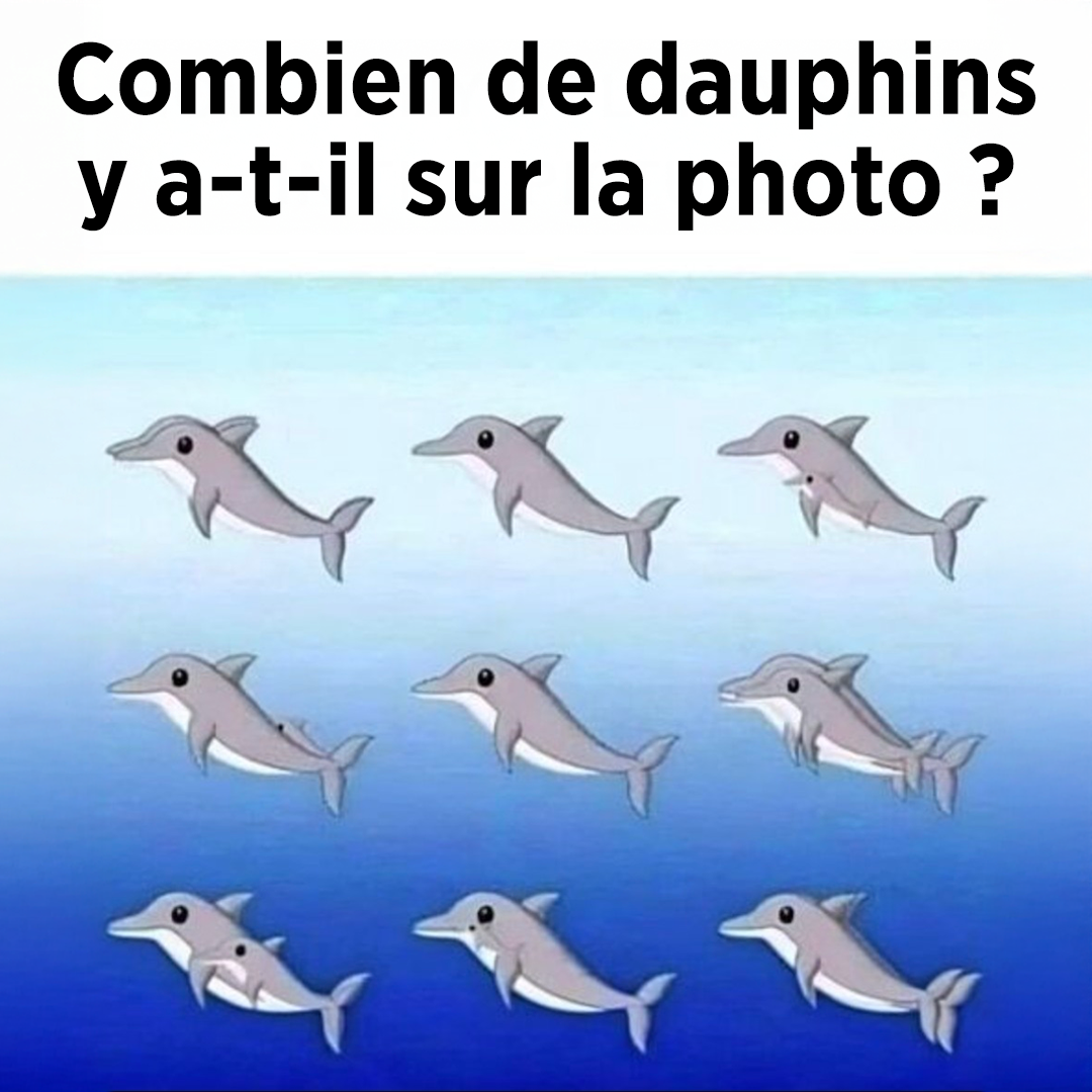 Combien de dauphins pouvez-vous repérer sur la photo ?