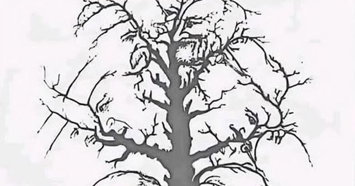 Combien de visages voyez-vous dans cet arbre ?