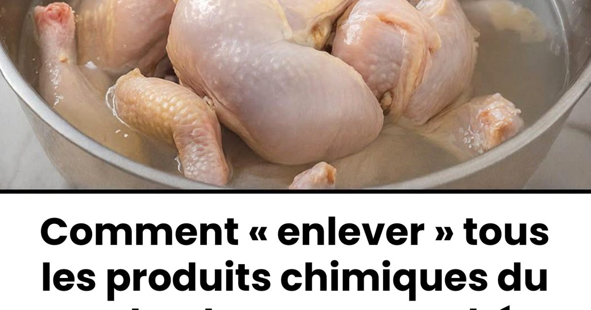 Comment éliminer les produits chimiques du poulet de supermarché : les révélations d’un employé d’abattoir
