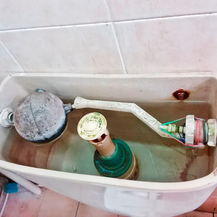L’entretien secret de vos toilettes : comment redonner vie au réservoir en un geste simple
