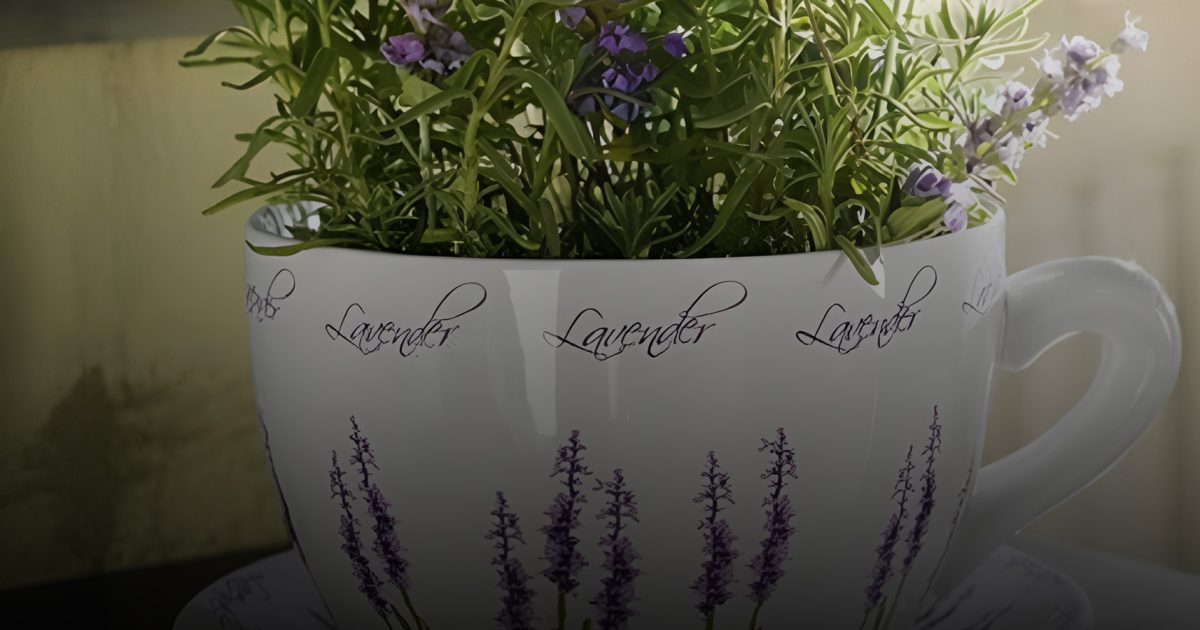 Comment faire pousser de la lavande chez vous (même dans une simple tasse)