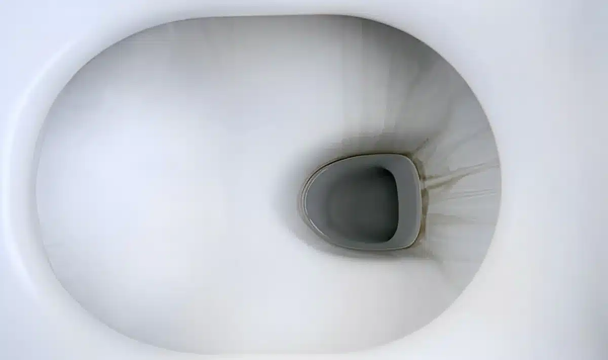 Toilettes noircies : la solution miracle (et naturelle) pour en finir avec ces traînées tenaces