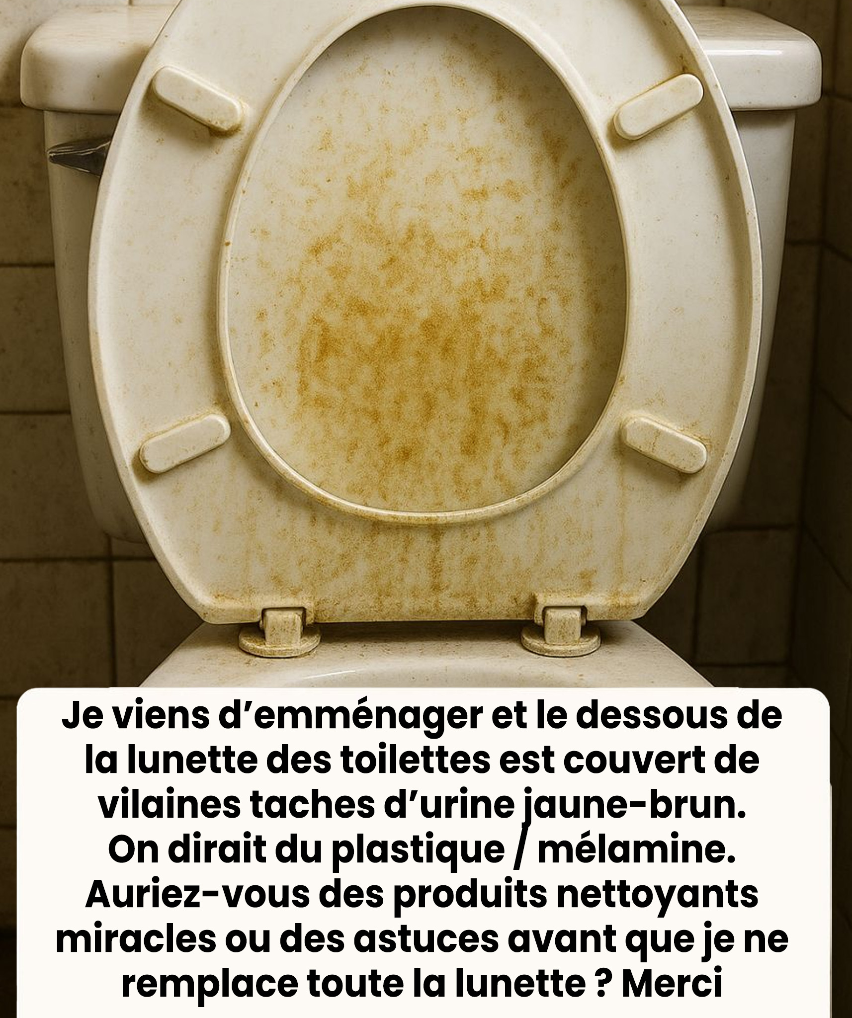 Comment nettoyer la lunette des toilettes ?