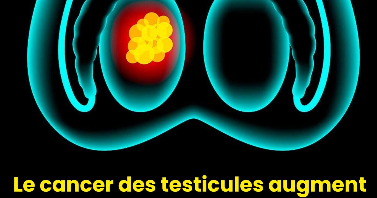 Comment prévenir le cancer des testicules chez les jeunes ?