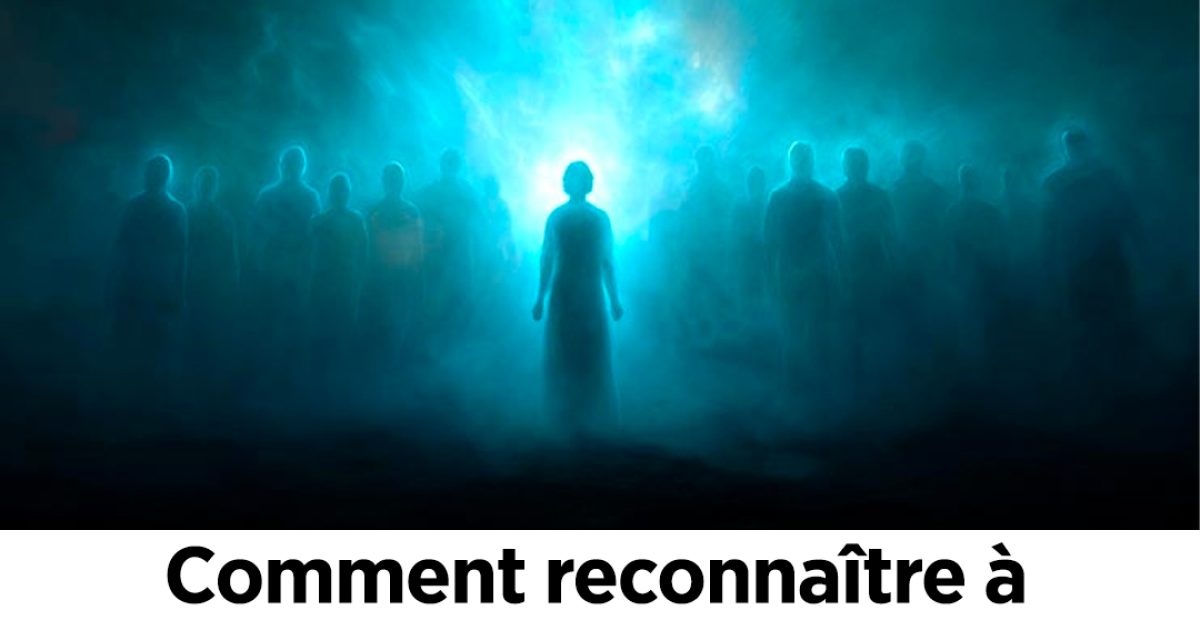 Comment reconnaître à quelle lignée vous êtes le plus fortement lié – maternelle ou paternelle