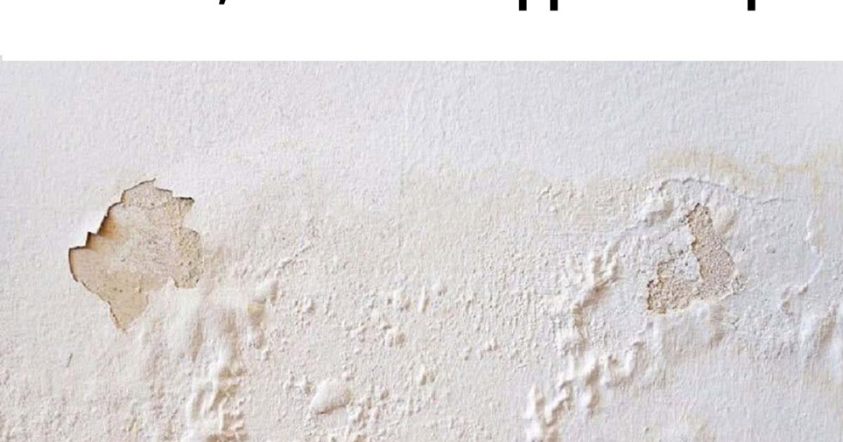 Comment réparer facilement des murs moisis ou écaillés en quelques minutes, sans faire appel à un pro