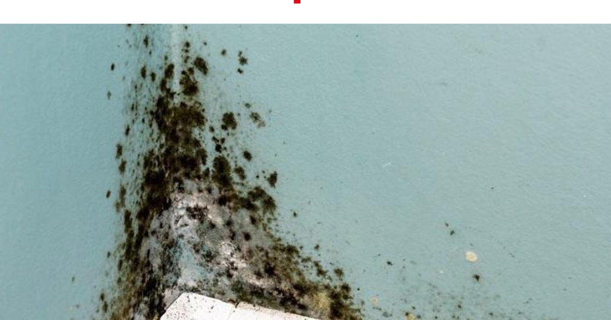 Comment se débarrasser de l’humidité dans la maison ?