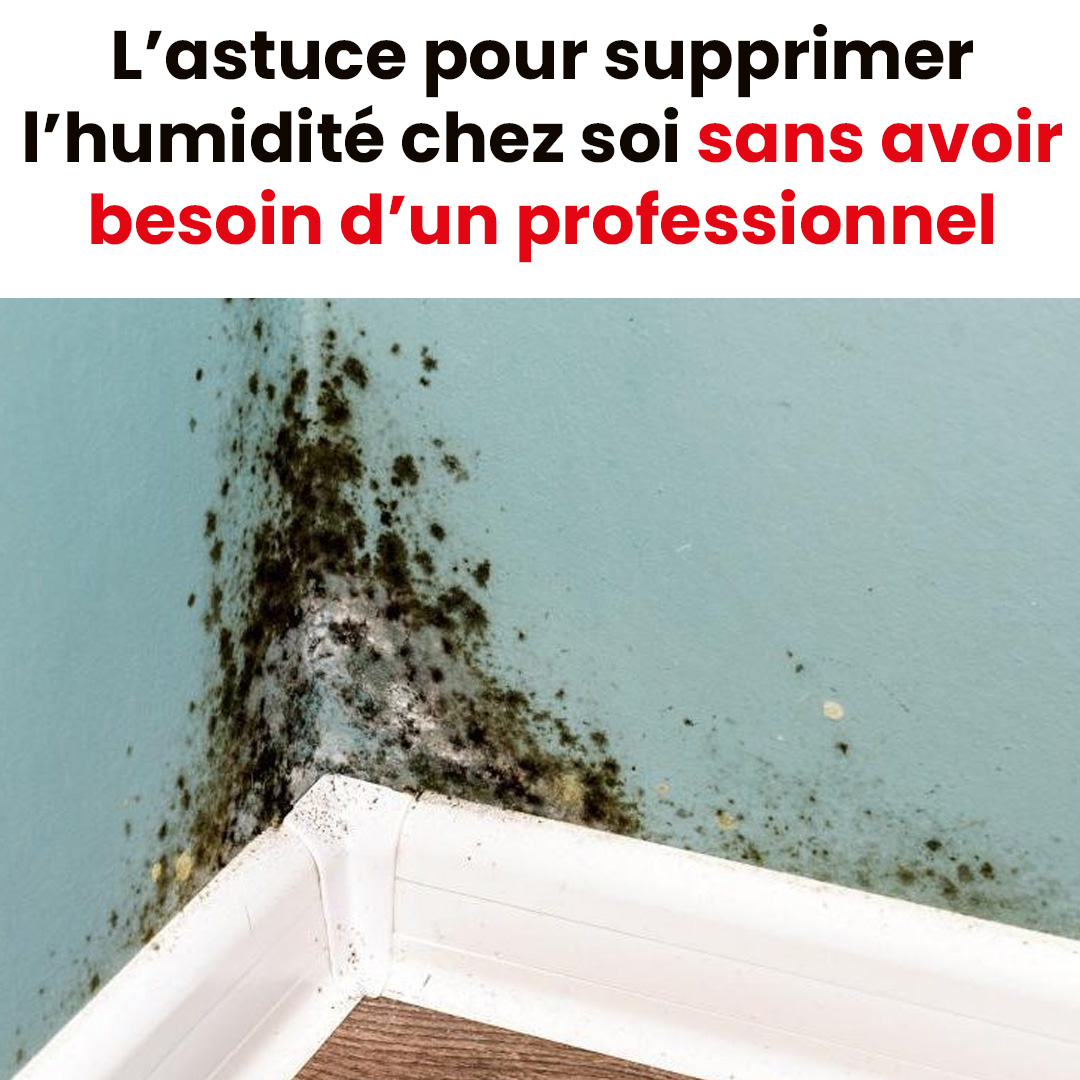 Comment se débarrasser de l’humidité dans la maison ?