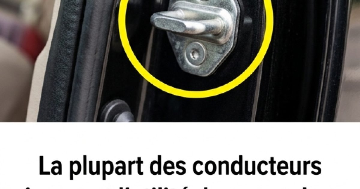 Crochet de portière de voiture : à quoi sert t’il ?