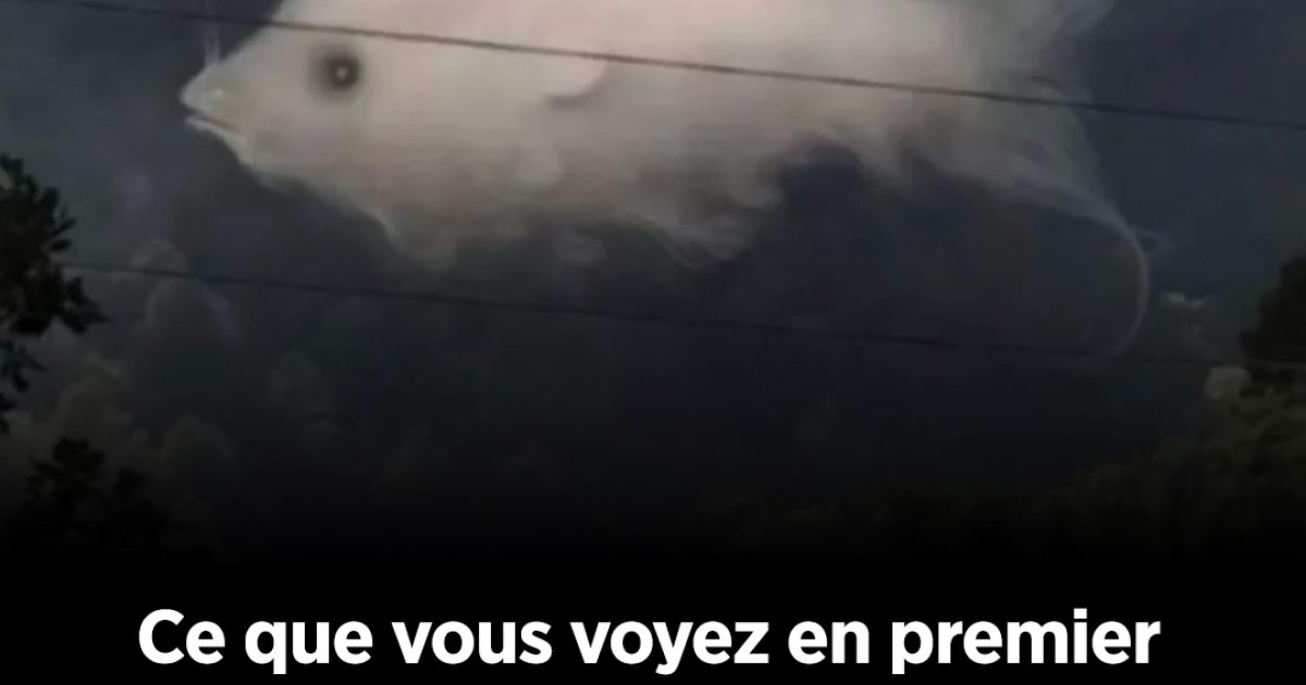 Découvrez ce que signifie voir d’abord un nuage ou un poisson dans cette illusion d’optique