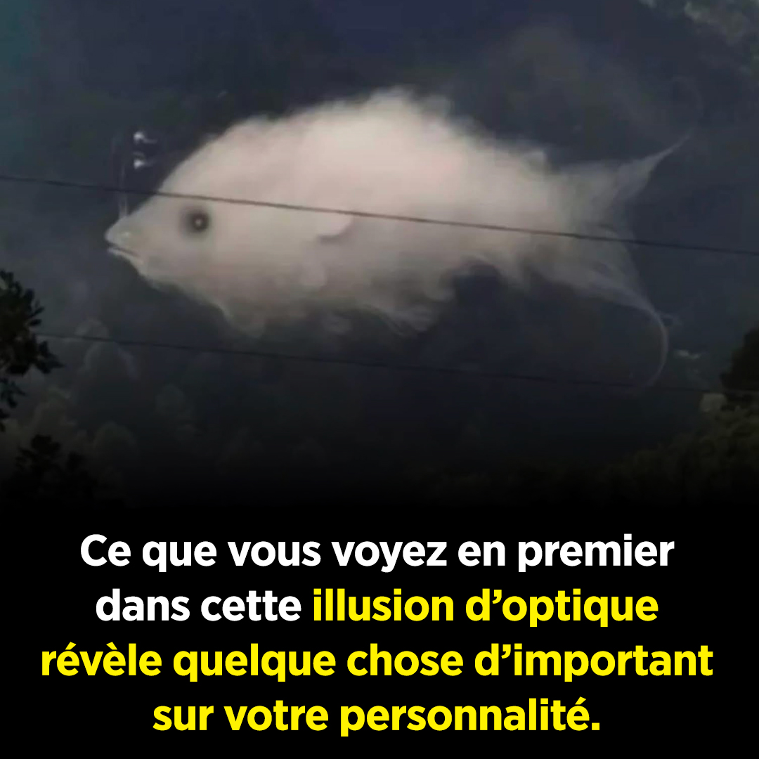 Découvrez ce que signifie voir d’abord un nuage ou un poisson dans cette illusion d’optique