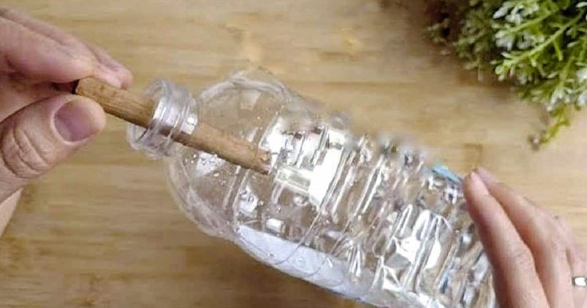 Découvrez le pouvoir du vinaigre et de la cannelle ! L’astuce maison qui transforme votre intérieur
