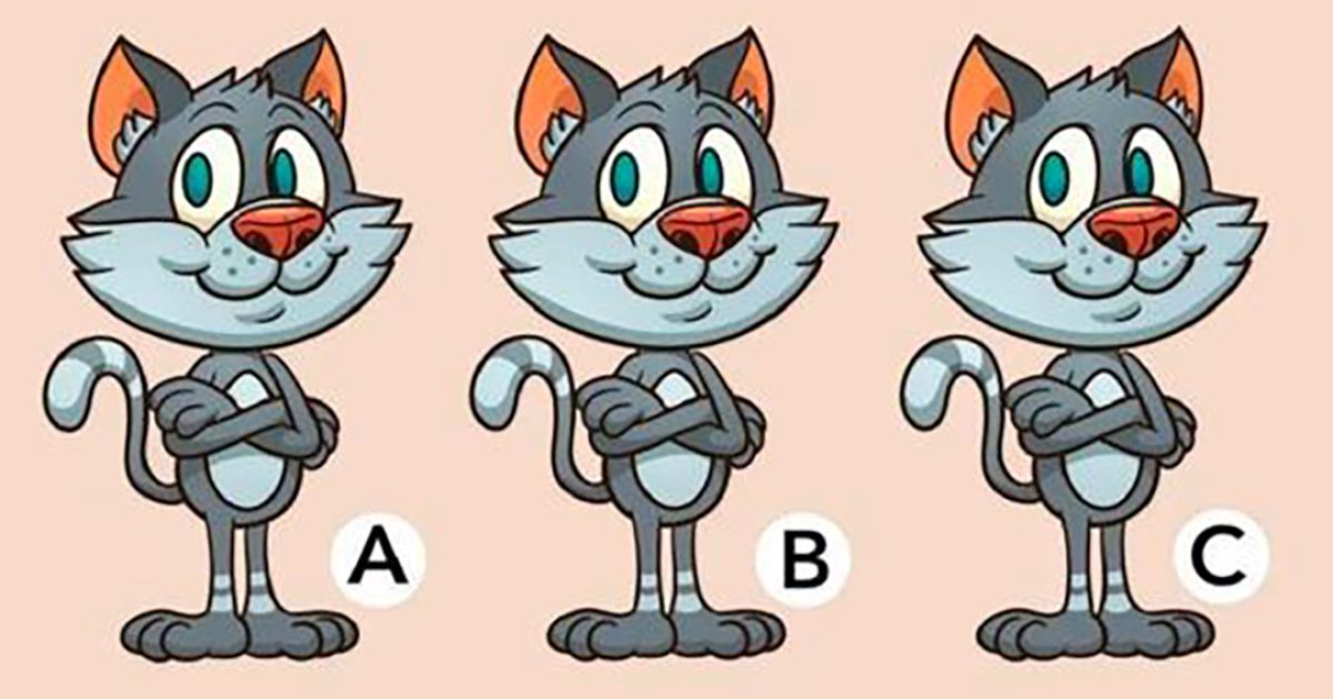 Défi d’illusion d’optique : quel chat est différent sur la photo ?