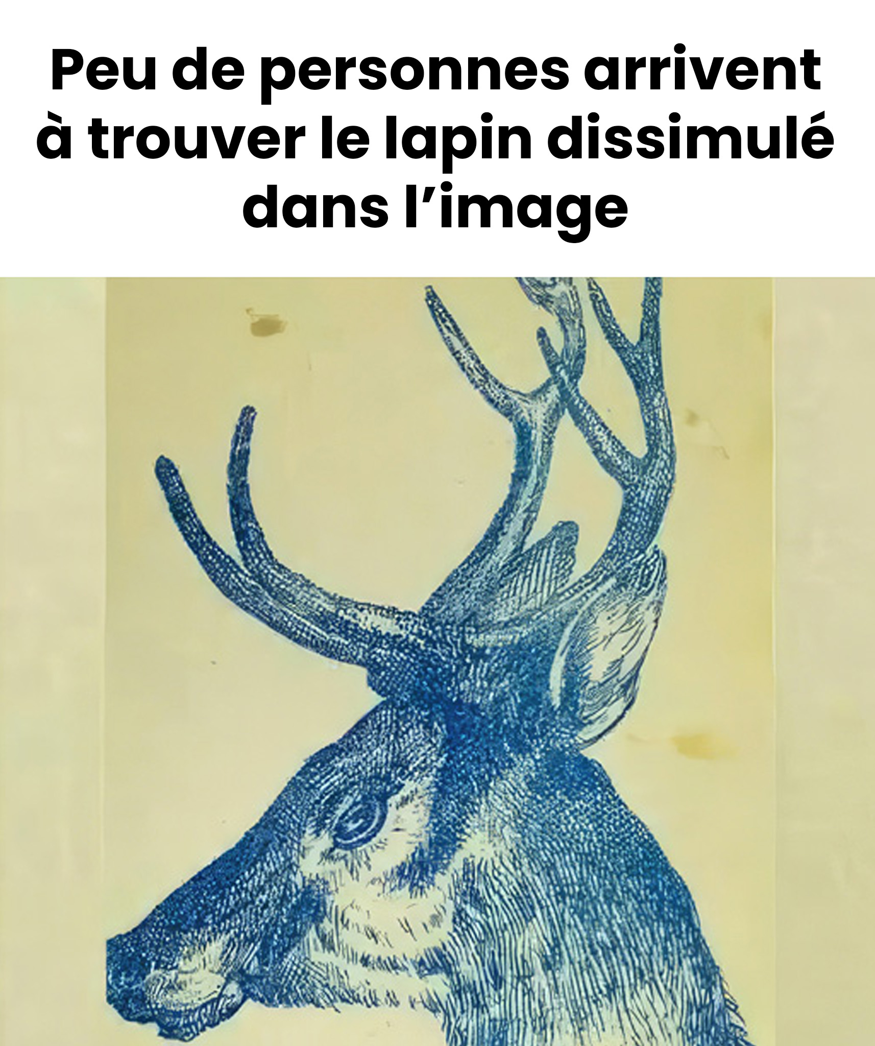 Défi visuel : trouvez le lapin caché dans le cerf en 9 secondes !